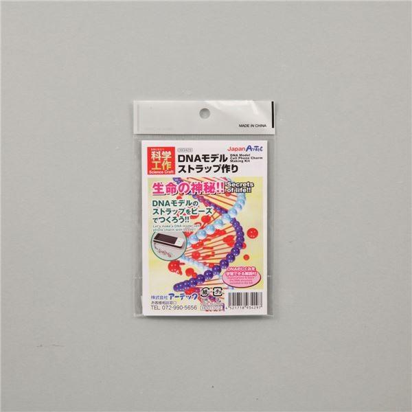 (まとめ)アーテック DNAストラップ作り 〔×30セット〕[21]