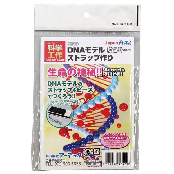 (まとめ)アーテック DNAストラップ作り 〔×30セット〕[21]の画像