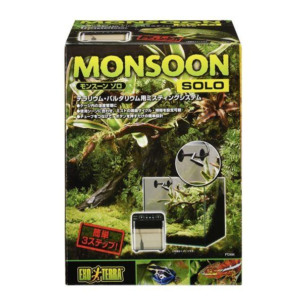 モンスーンソロ[21]