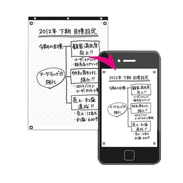 まとめ) コクヨ フリップチャート交換用セクションパッド A1 レ