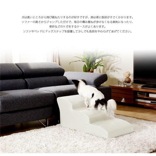 ドッグステップ/ペット用品 〔3段 ブラウン〕 幅40.5cm 合皮/合成皮革張地 ウレタンフォーム 〔リビング 室内犬〕〔代引不可〕[21]_3