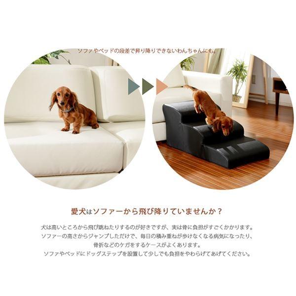 ドッグステップ/ペット用品 〔4段 アイボリー〕 幅40.5cm 合皮/合成皮革張地 ウレタンフォーム 〔リビング 室内犬〕〔代引不可〕[21]_2