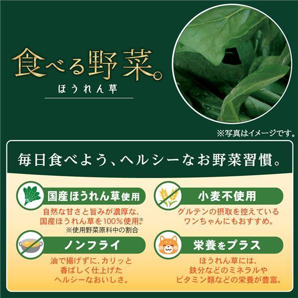 まとめ 食べる野菜 ほうれん草 30g ペット用品 犬用フード 12セット 21 Ds 雑貨のお店 ザッカル 通販 Yahoo ショッピング