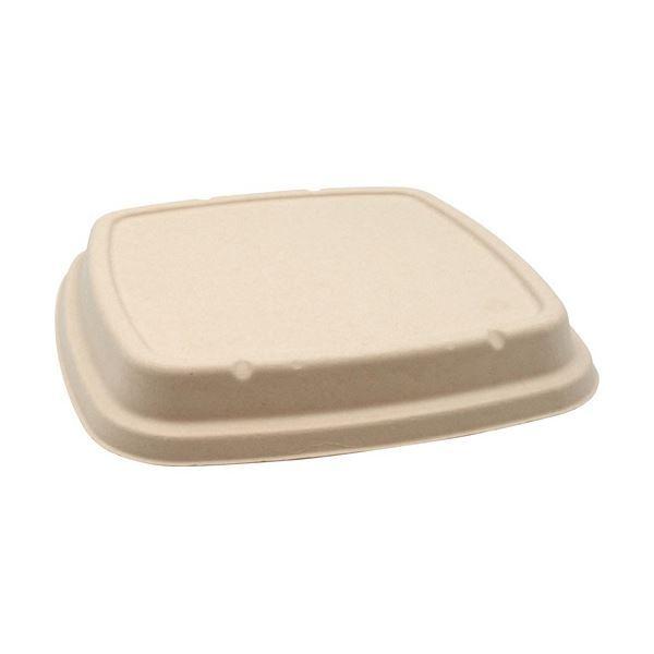 (まとめ) パックスタイル BB竹バガス弁当 N23-23F 共蓋 235×235×高さ18mm 1パック(50枚) 〔×3セット〕[21]