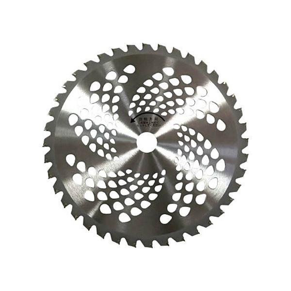 (まとめ) キンボシ GS 斜埋込チップソー 230mm 36枚刃 210428 1パック(2枚) 〔×3セット〕[21]
