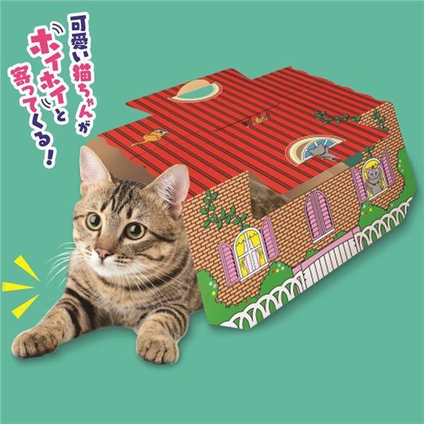 (まとめ) ねこモテ ホイホイ 1枚入 〔×5セット〕 (ペット用品)[21]｜bucklebunny｜02