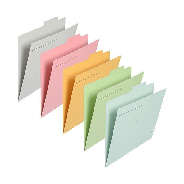 （まとめ）プラス 個別フォルダー A4 5色アソート FL-061IF-AP 1パック(10冊)〔×10セット〕[21]