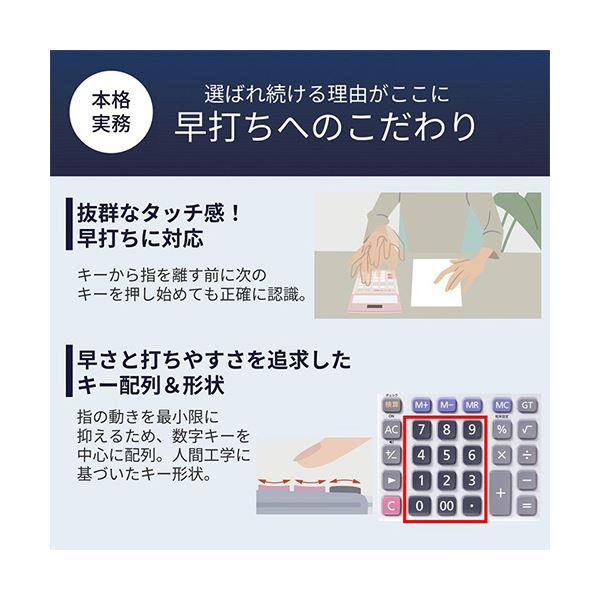 カシオ 本格実務電卓 10桁デスクタイプ DS-10WKA-N 1台[21]の画像
