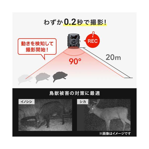 サンワサプライ 連続録画機能付きトレイルカメラ CMS-SC07BK[21]