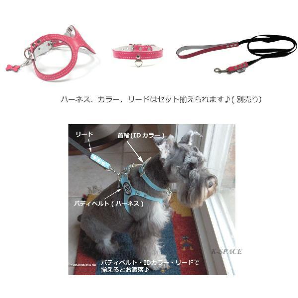 胴輪 ハーネス バディベルト 10号 ホットピンク HOT PINK ペット 犬 