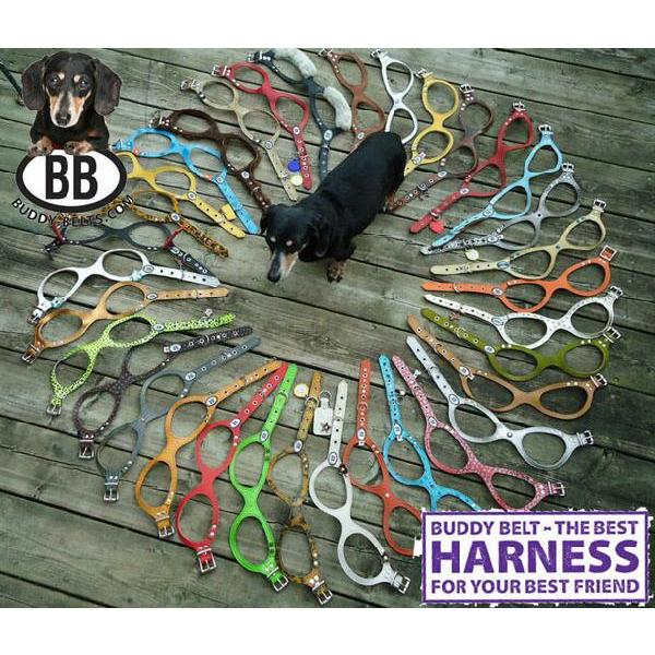 胴輪 ハーネス バディベルト 2号 ホットピンク HOT PINK BUDDY BELT