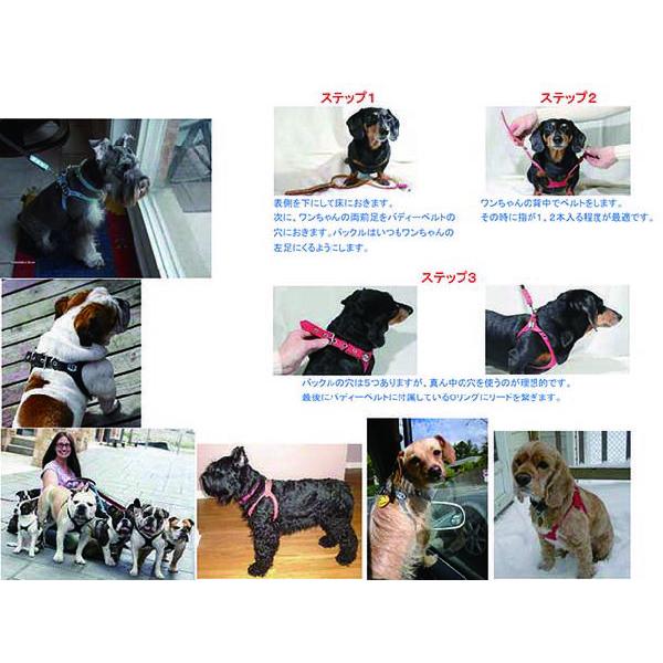 バディーベルト ハーネス 3号 ラテ Latte スワロフスキー付 小型犬 ペット レザー 本革 BUDDYBELT バディベルト 犬用 胴輪 リング｜buddybelt｜12