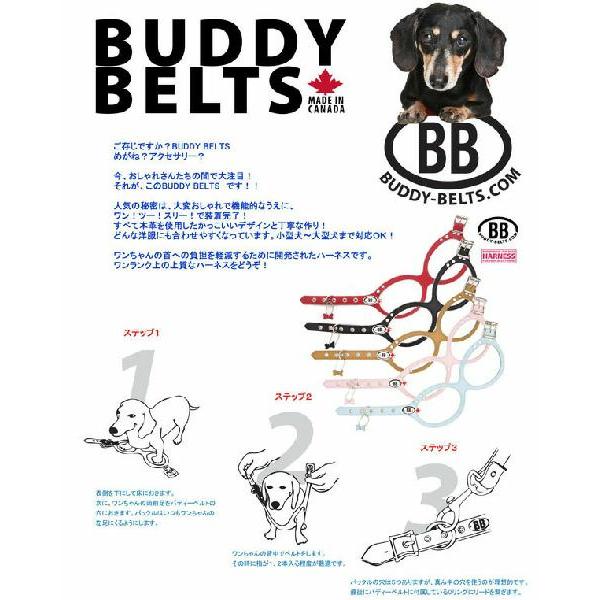 バディーベルト ハーネス 3号 ラテ Latte スワロフスキー付 小型犬 ペット レザー 本革 BUDDYBELT バディベルト 犬用 胴輪 リング｜buddybelt｜09