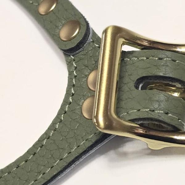 バディーベルト ハーネス 3.5号 セージ Sage 小型犬 ペット レザー 本