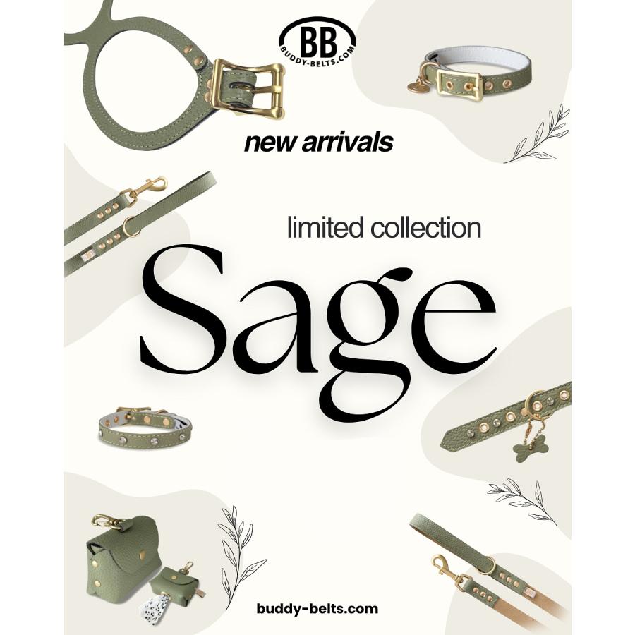 バディーベルト ハーネス 3.5号 セージ Sage 小型犬 ペット レザー 本