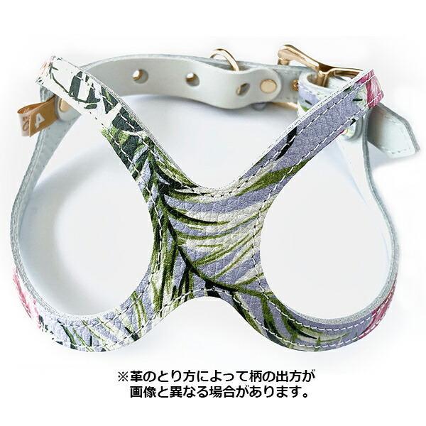 バディーベルト ハーネス 6号 バディーバハマ Buddy Bahama 中型犬