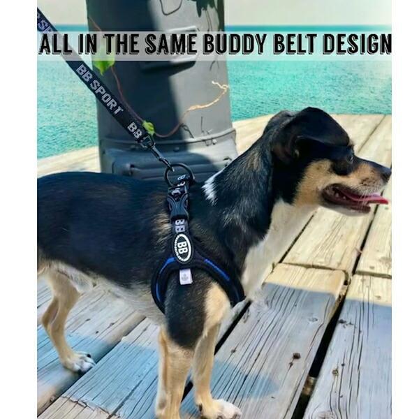 B Bハーネス 小型犬用 楽天市場】バディーベルト BBスポーツハーネス 3.5号 小型犬 ペット