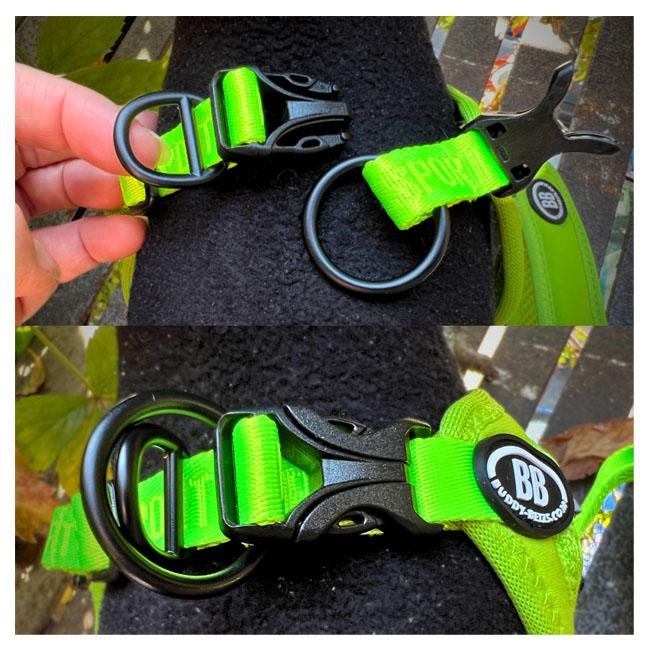 バディーベルト BBスポーツハーネス 2.5号 小型犬 ペット BUDDYBELT