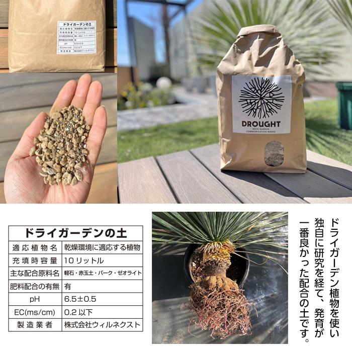 ドライガーデン　おすすめセット ドライガーデン おすすめセット 楽天市場】［予約：2025年9月