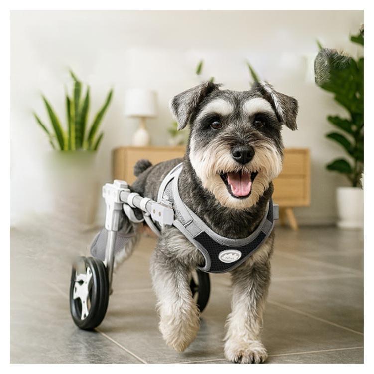 歩行補助器 2輪 ペット車椅子 犬用歩行器 4輪 車輪 中型犬 小型犬 歩行
