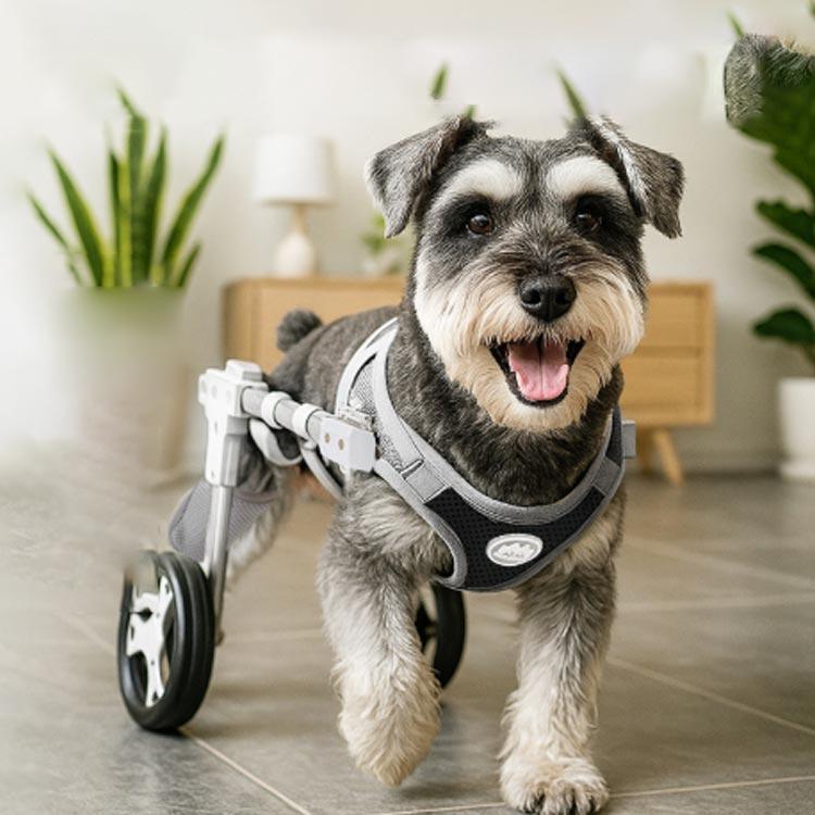 歩行補助器 2輪 ペット車椅子 犬用歩行器 4輪 車輪 中型犬 小型犬 歩行