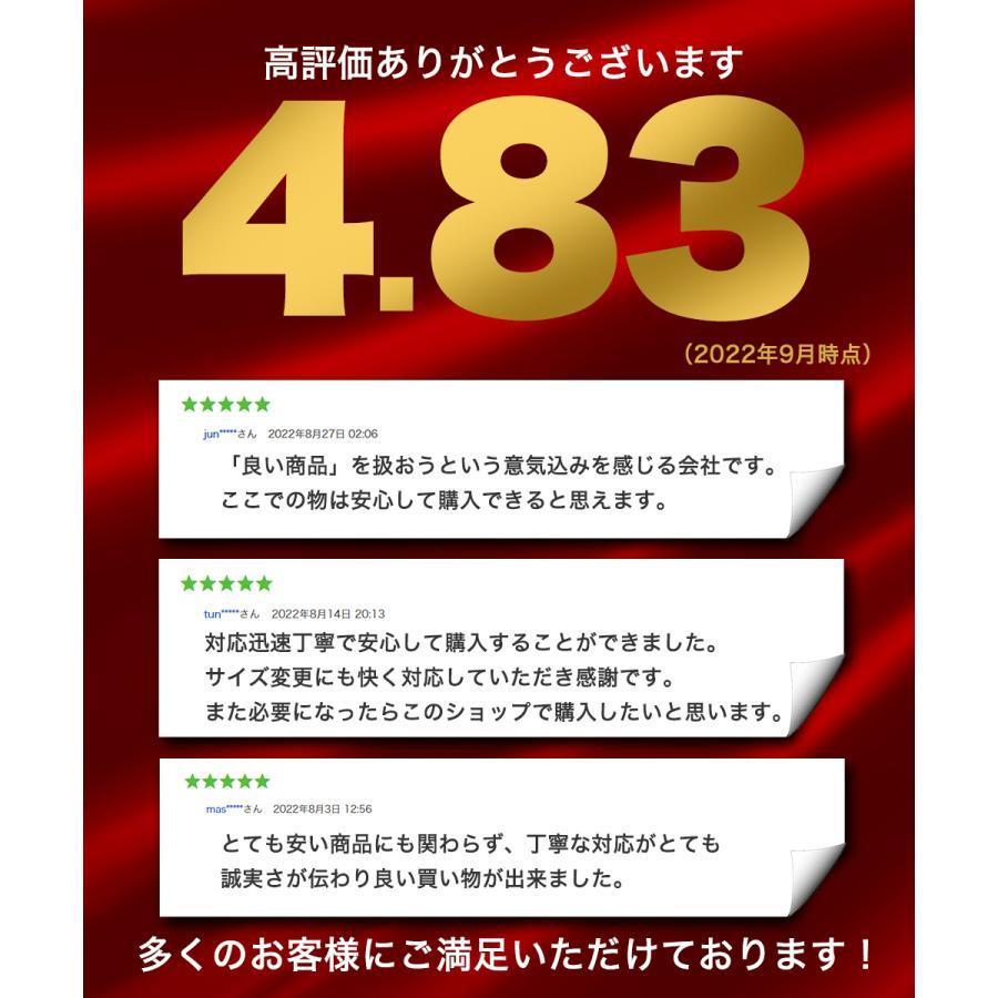 骨盤ベルト 腰痛ベルト 骨盤矯正 コルセット 産後 滑車 ずれない 姿勢矯正 腰サポーター 猫背 腰ベルト ガードル 女性 男性｜buddystore｜19