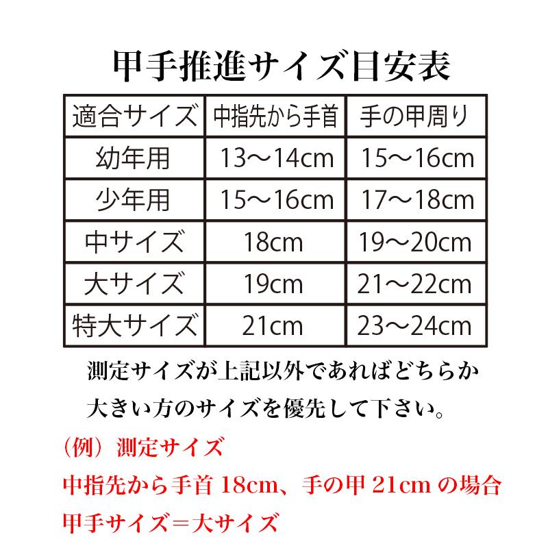 剣道 入門 防具 セット 少年用 面 胴 甲手 垂 6mm刺 面紐 面乳革 胴紐付 炎武 大真｜budo-daishin｜06