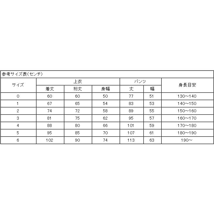 東山堂 合気道 道着 セット AG60W 晒合気道衣上下帯 3点セット 上衣