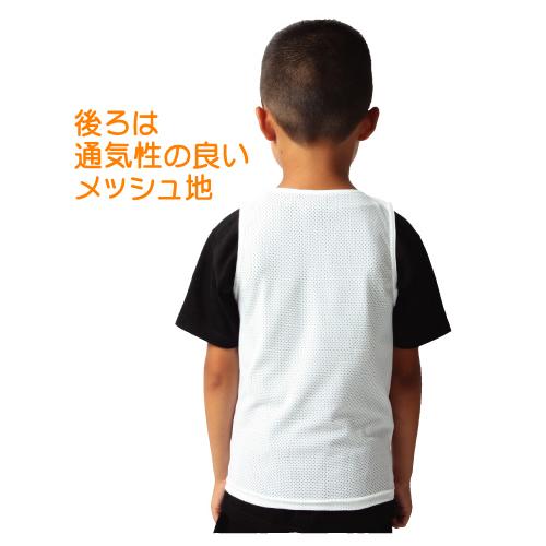空手 サポーター 防具 格闘技 インナーチェスト ISAMI イサミ 空手 サポーター 防具 格闘技 インナーチェスト ISAMI イサミ