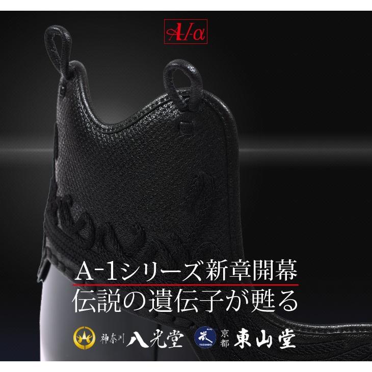 東山堂 剣道防具 胴 A-1α 剣道具・剣道防具・胴・単品 : 東山堂 東山堂 剣道防具 胴 A-1α 剣道具・剣道防具・胴・単品 : 東山堂