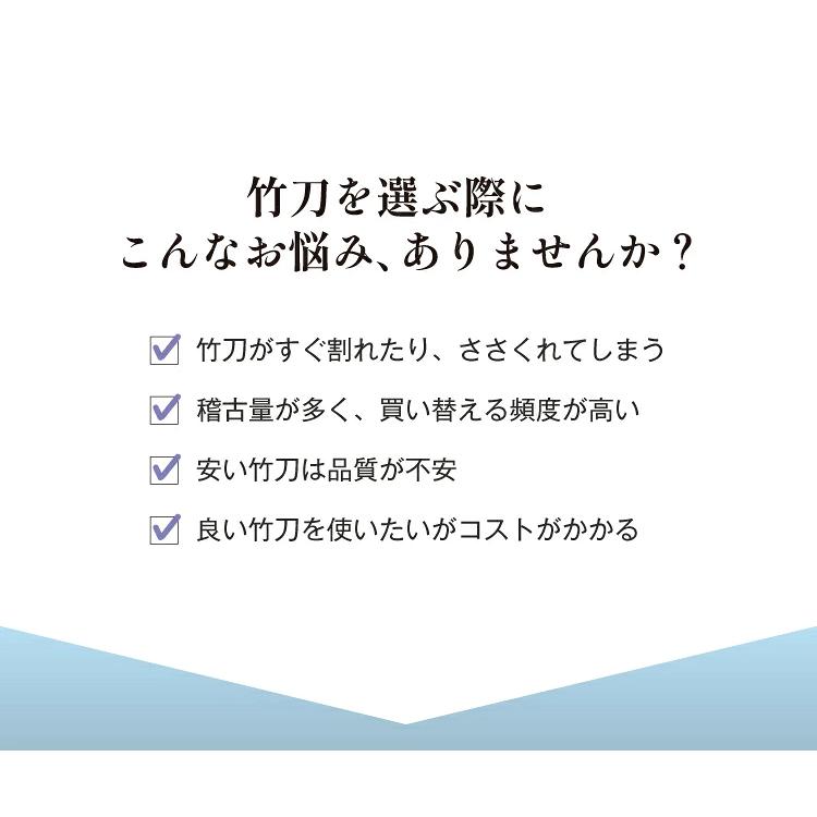 東山堂 バイオテック普及型 真竹吟風仕組み竹刀「Z」34〜39男女