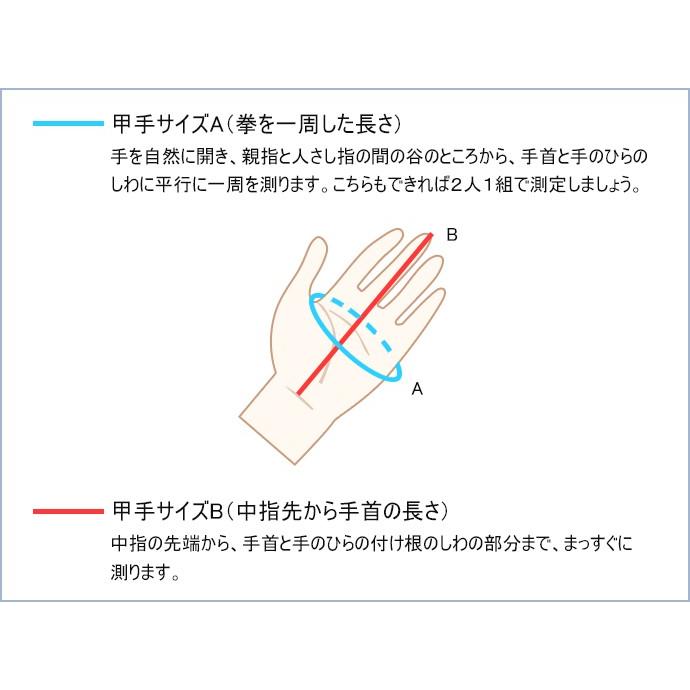 剣道防具 (面 垂れ 小手 胴 防具入れ) お値下げ可 剣道 5mm刺 防具 面 胴 甲 垂セット 中学生 高校生 一般 女性