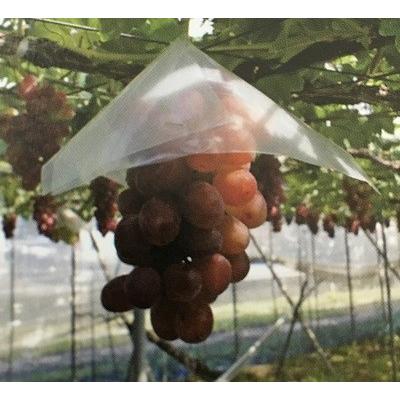 ぶどう用ポリ透明プラ傘 300角 1000枚 : ぶどうの広場 - 通販 - Yahoo