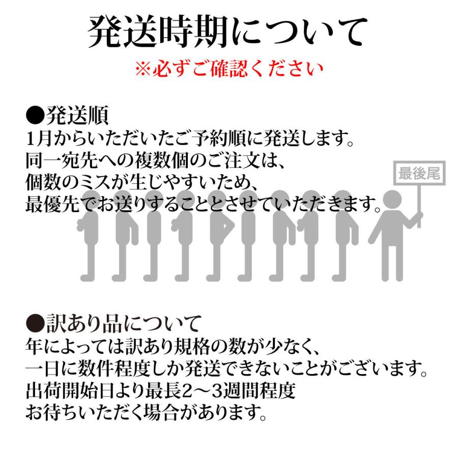 【ギフト梱包】シャインマスカット 1.4kg 大房2房【2023年産予約・発送9月末~】岡山県産ぶどう皮ごと(葡萄 ブドウ) |  | 02