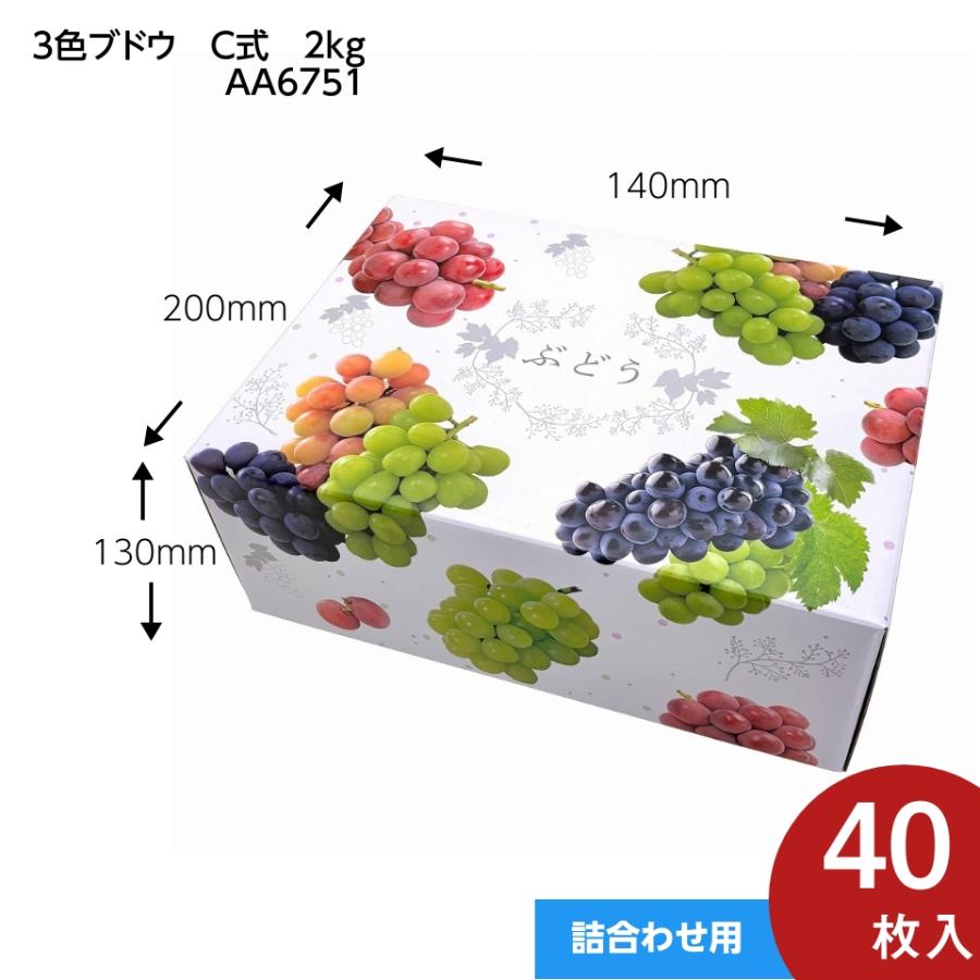 3種類のブドウ盛り合わせ 3色 ブドウ C式】 40枚入 2kg用 ギフト箱 ぶどう 3種類 〜 4種類 の