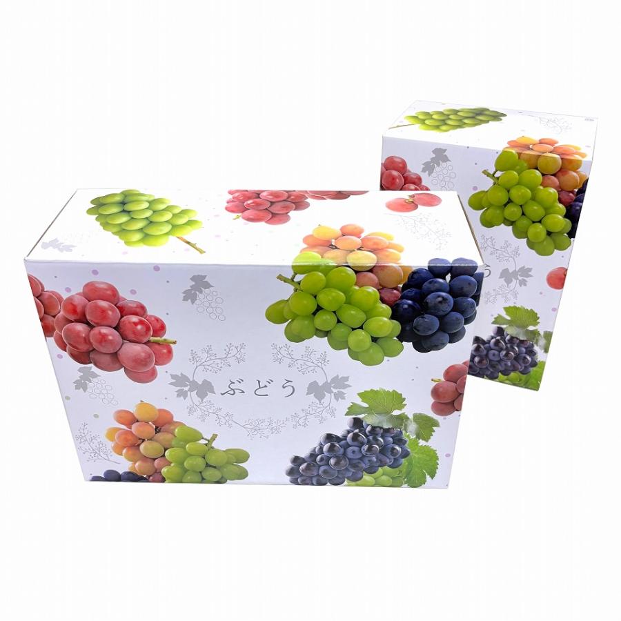 【ムック】４種類詰合せ１２本＊２箱　　【２箱括りでの発送】 HEIKO 箱 ナチュラルボックス Z-14 10枚/袋 006201410 包装用品