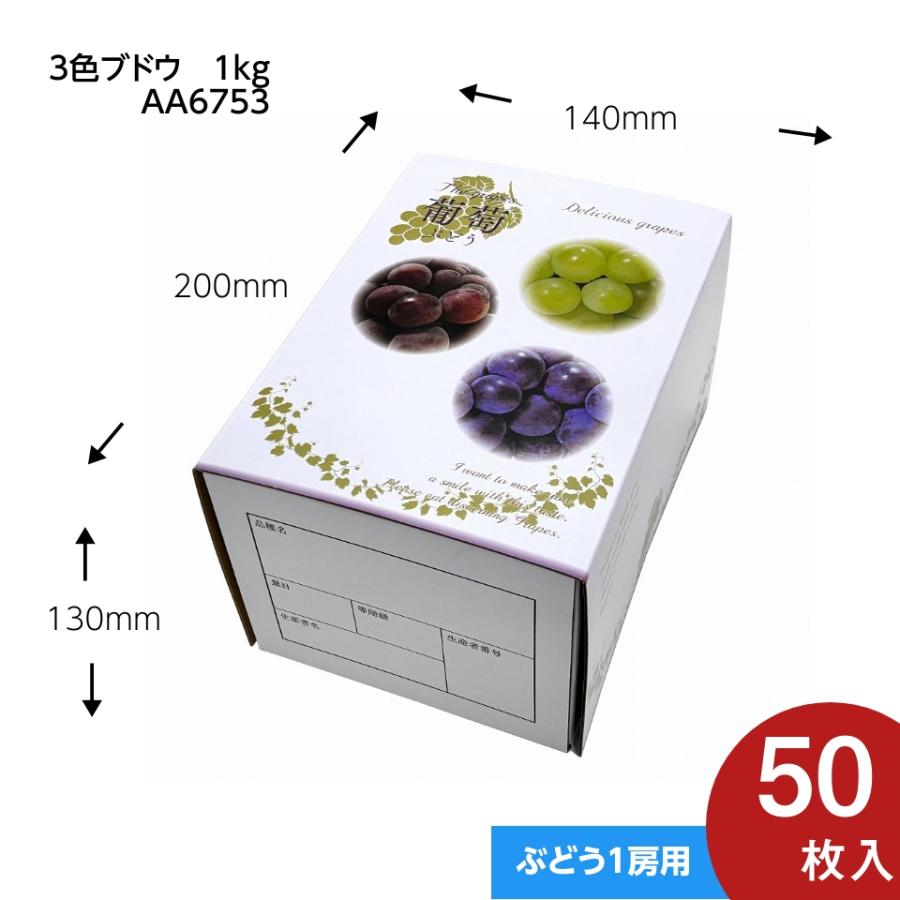 3色 ブドウ 1kg】50 枚入 1kg用 ギフト箱 ブドウ・シャイン