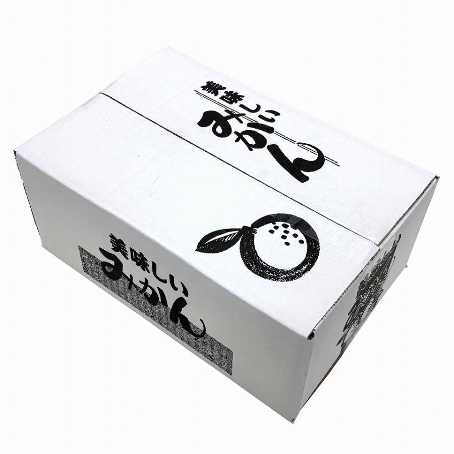 みかん発送用送り箱】美味しいみかん 3kg（10枚入） 内寸：210×305