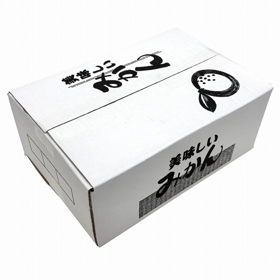 みかん発送用送り箱】美味しいみかん 3kg（10枚入） 内寸：210×305