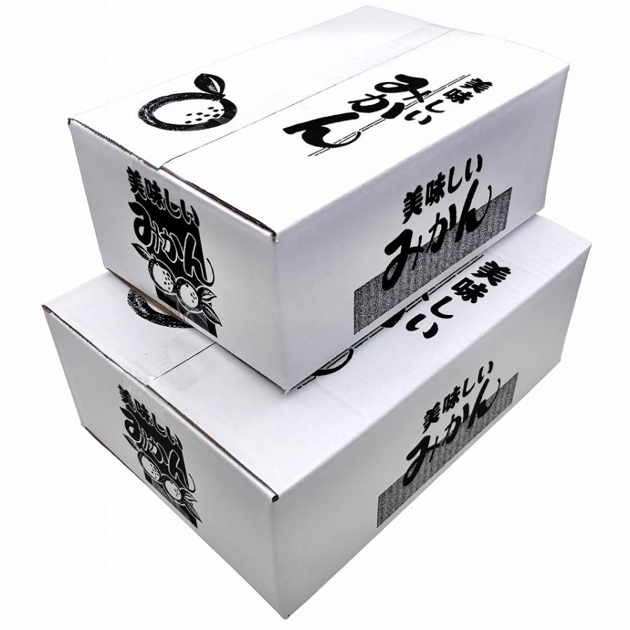 みかん発送用送り箱】美味しいみかん 3kg（10枚入） 内寸：210×305