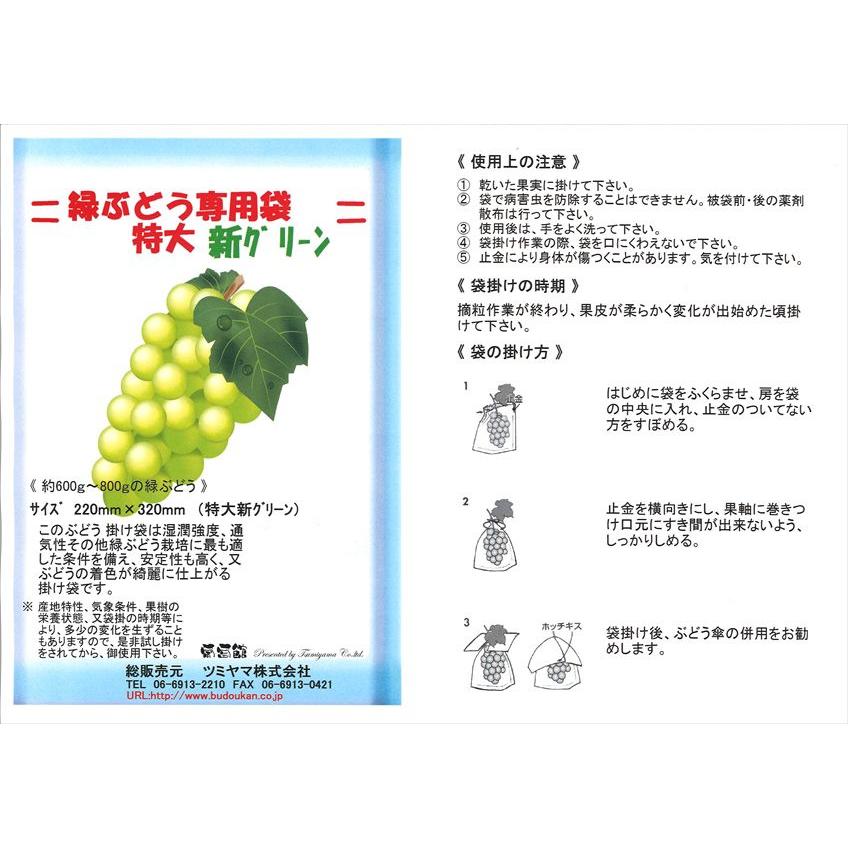 緑ぶどう専用 特大袋 新グリーン 220×320（ニューエリートソフト 特大