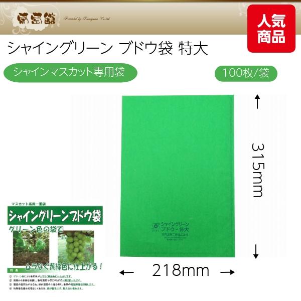 柴田屋加工紙 緑ぶどう 専用シャイングリーン ブドウ袋 特大 218×315mm
