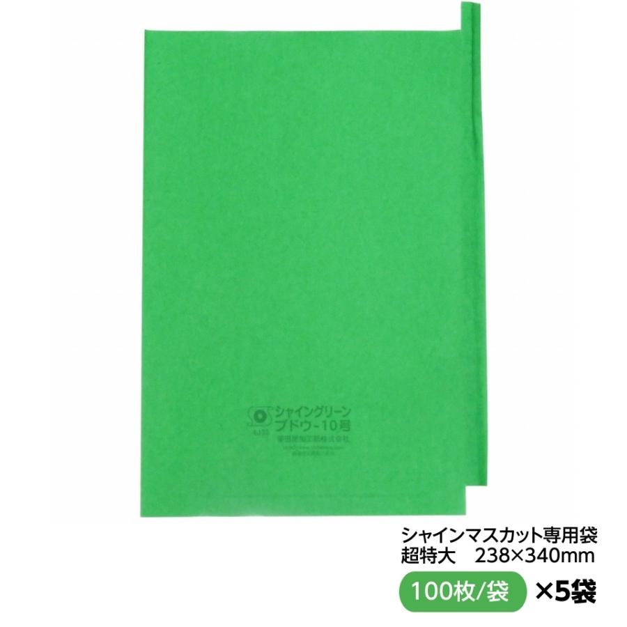 お買得！緑ぶどう 専用 シャイングリーン ブドウ袋 止出し 10号 超特大