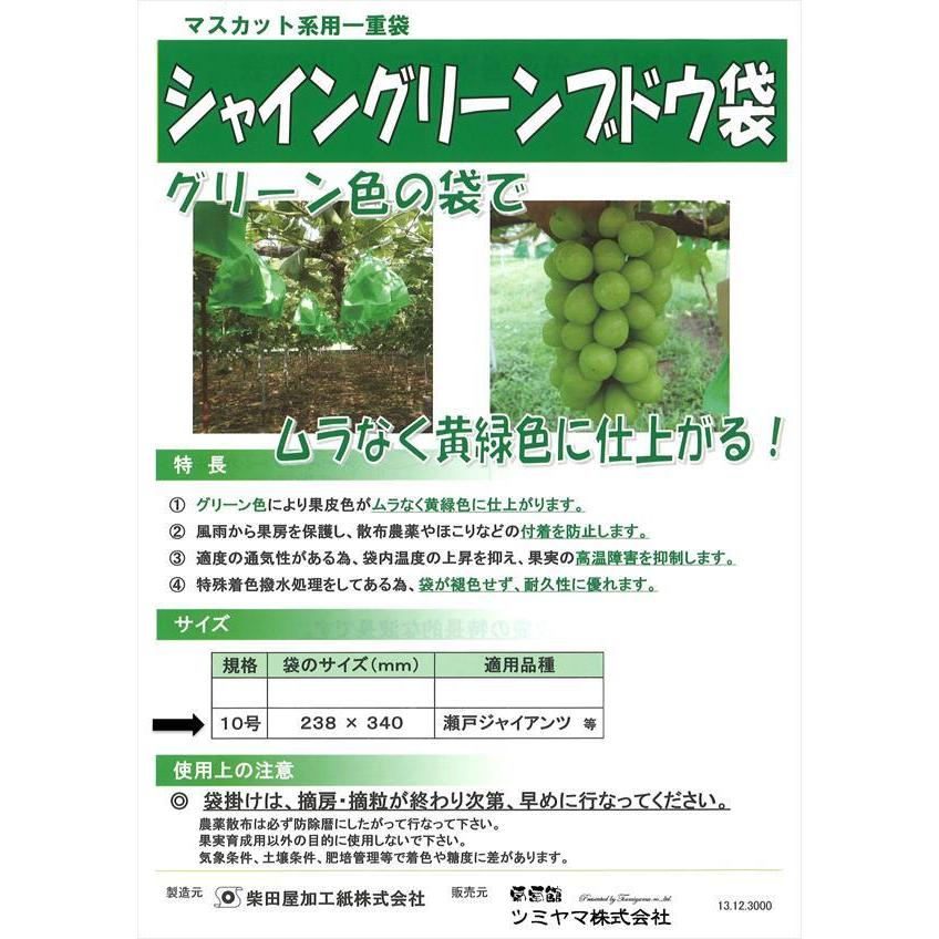 お買得！緑ぶどう 専用 シャイングリーン ブドウ袋 10号 超特大 238×340mm （100枚入×5セット）｜budoukan-shop2｜05