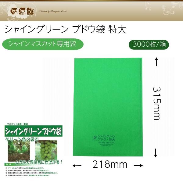 緑ぶどう　専用　シャイングリーンブドウ袋　218×315mm　3000枚　特大　箱