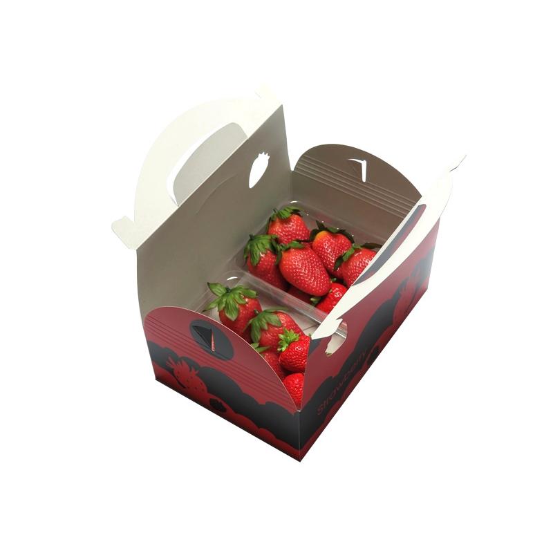 【いちごさま】ご購入品② イチゴ 手さげ箱 2パックキャリー S-2 10枚/袋 お試し用 : 葡萄