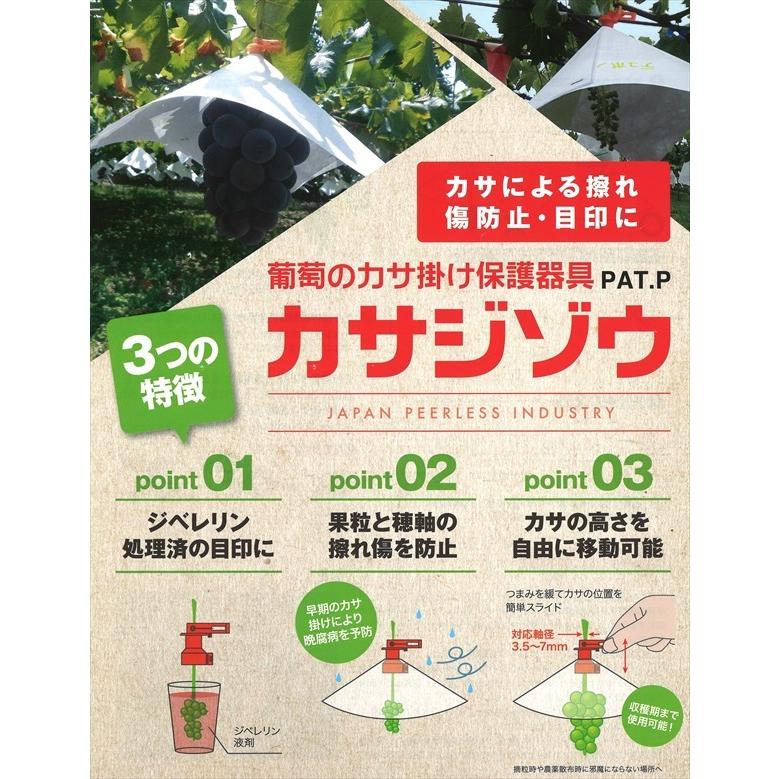 カサジゾウ バイオレット タイベック傘 パンチ穴 100セット Kas129 Set 1 葡萄館 Yahoo 店 通販 Yahoo ショッピング