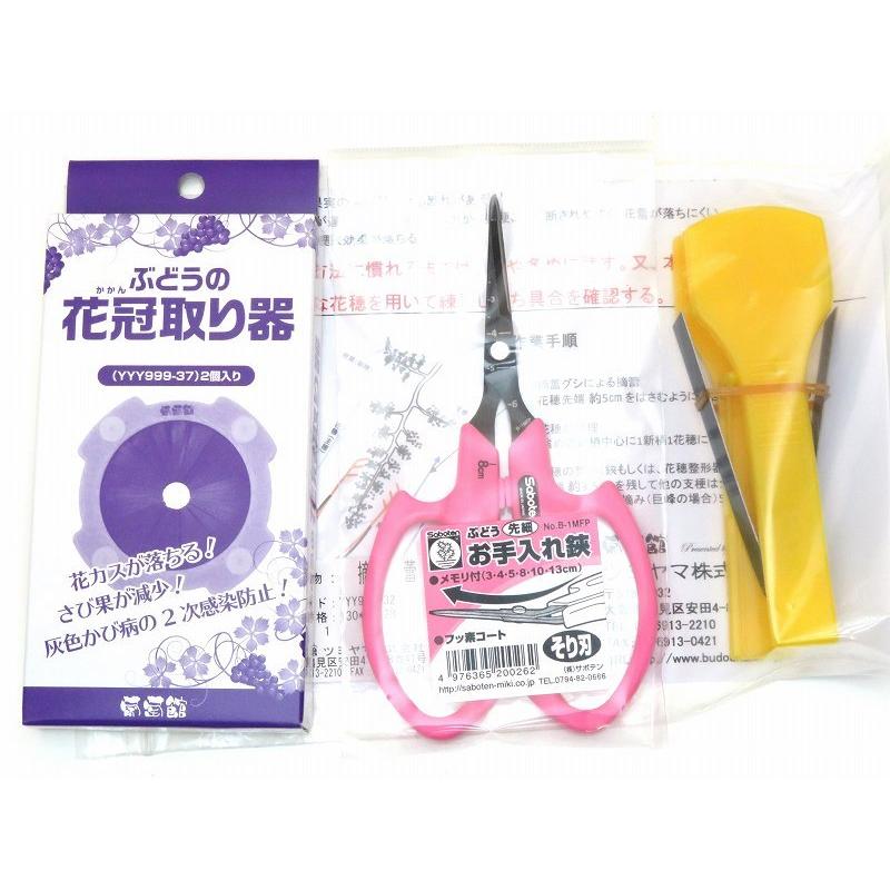 お手入れ3点セット 花冠取り器 摘蕾グシ ぶどうハサミ 先細そり刃 B 1mfp Sab Zzset14 葡萄館 Yahoo 店 通販 Yahoo ショッピング