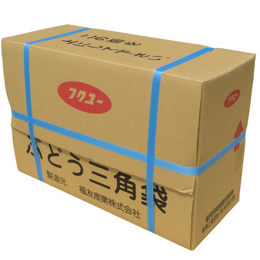 ぶどう三角袋 大透明（無地エコ）3000枚/箱 セロハン部分の印刷無地