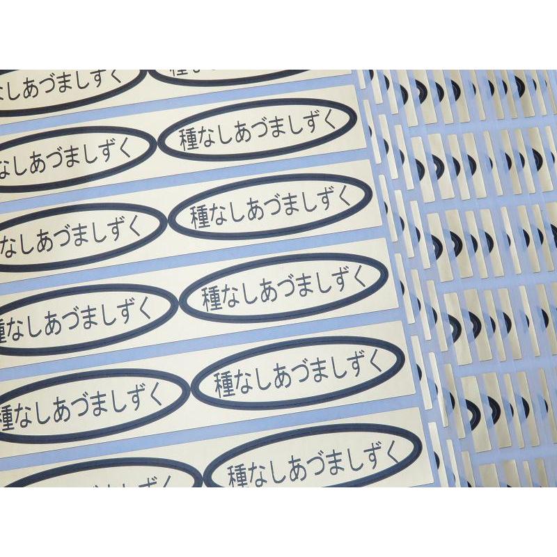 品種金シール 種なしあづましずく 49×14mm 楕円形500枚(20枚×25